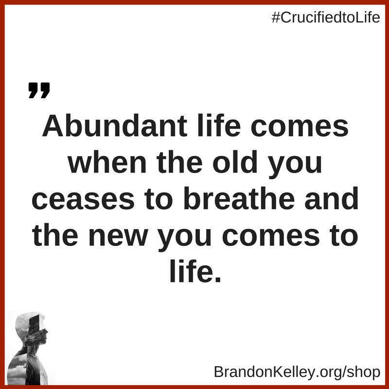 abundant-life-quote